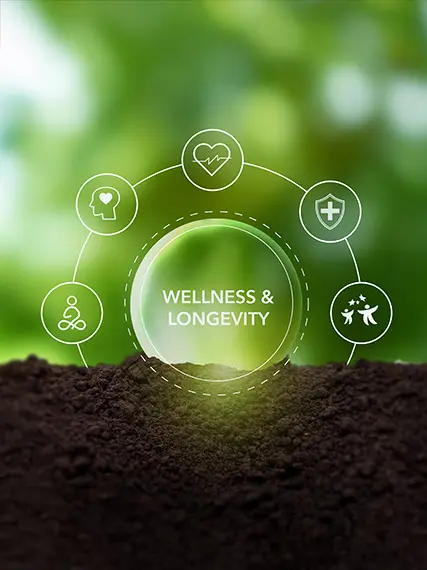 A lush green background with a mound of soil in the foreground. Overlaid icons represent wellness and longevity: brain, heart, cross, yoga, and family. The words Wellness & Longevity are centered in a glowing circle.